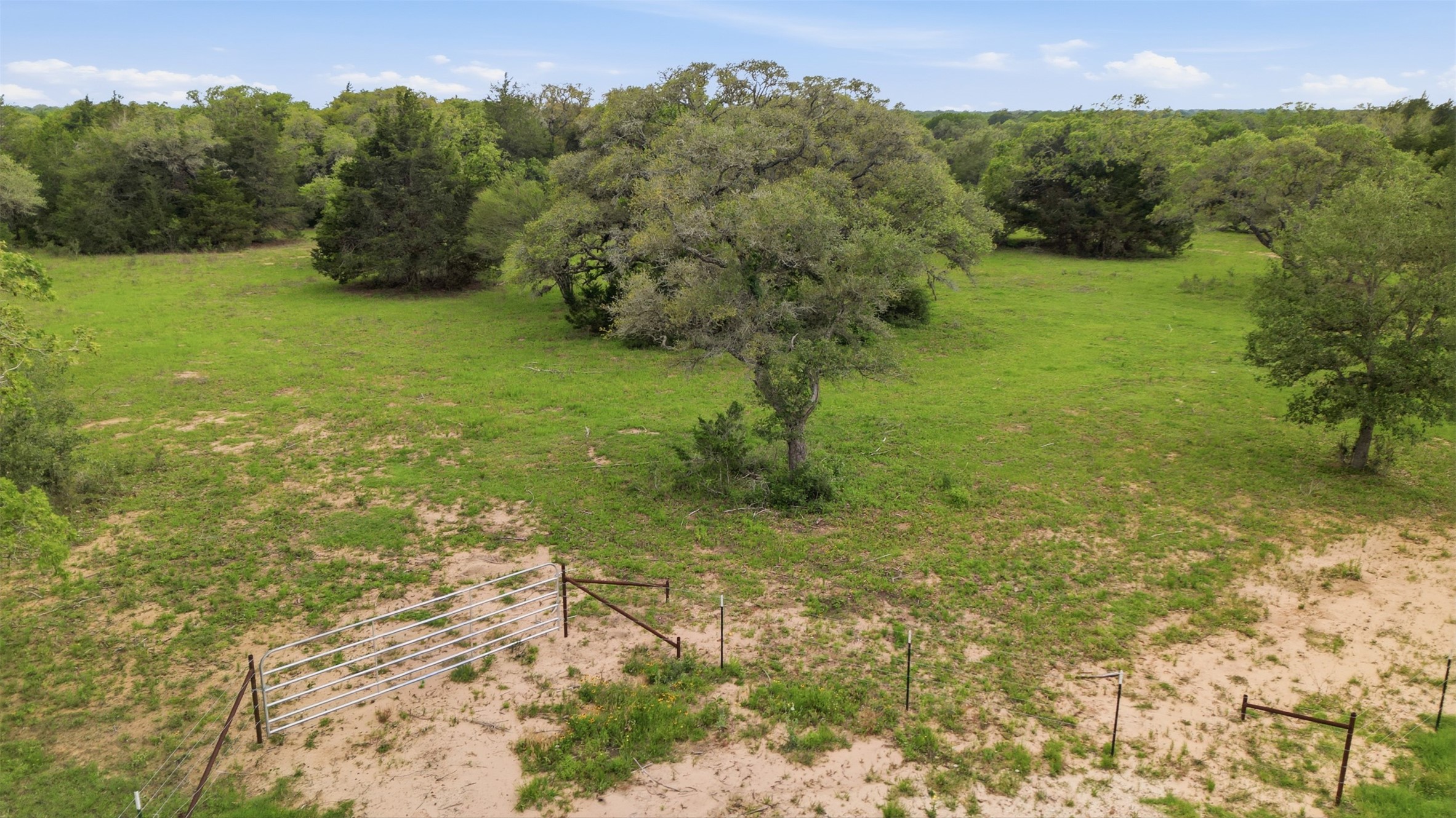 1165 Cr 213 Road Weimar, TX 78962 - Photo 14 of 50 a view of a field with an trees