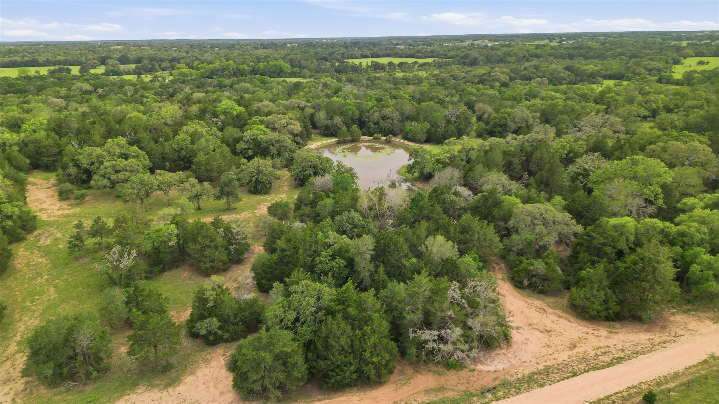 1165 Cr 213 Road Weimar, TX 78962 - Photo 15 of 50 a view of a forest with a street