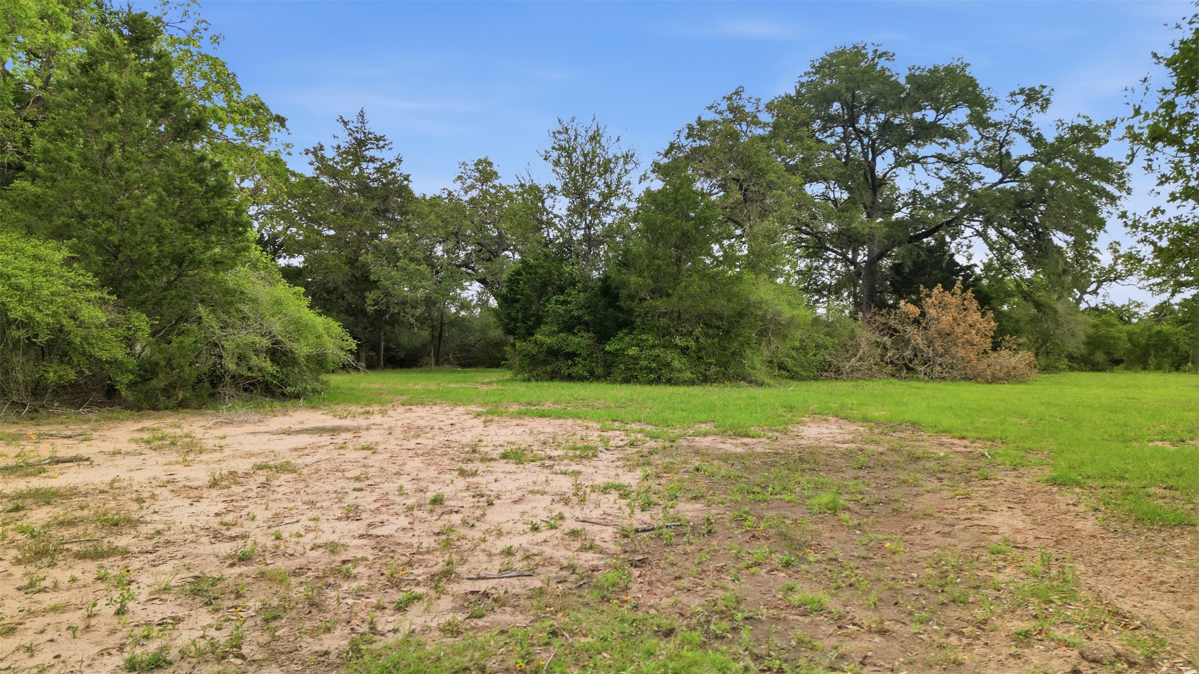 1165 Cr 213 Road Weimar, TX 78962 - Photo 16 of 50 a view of a field with trees in background