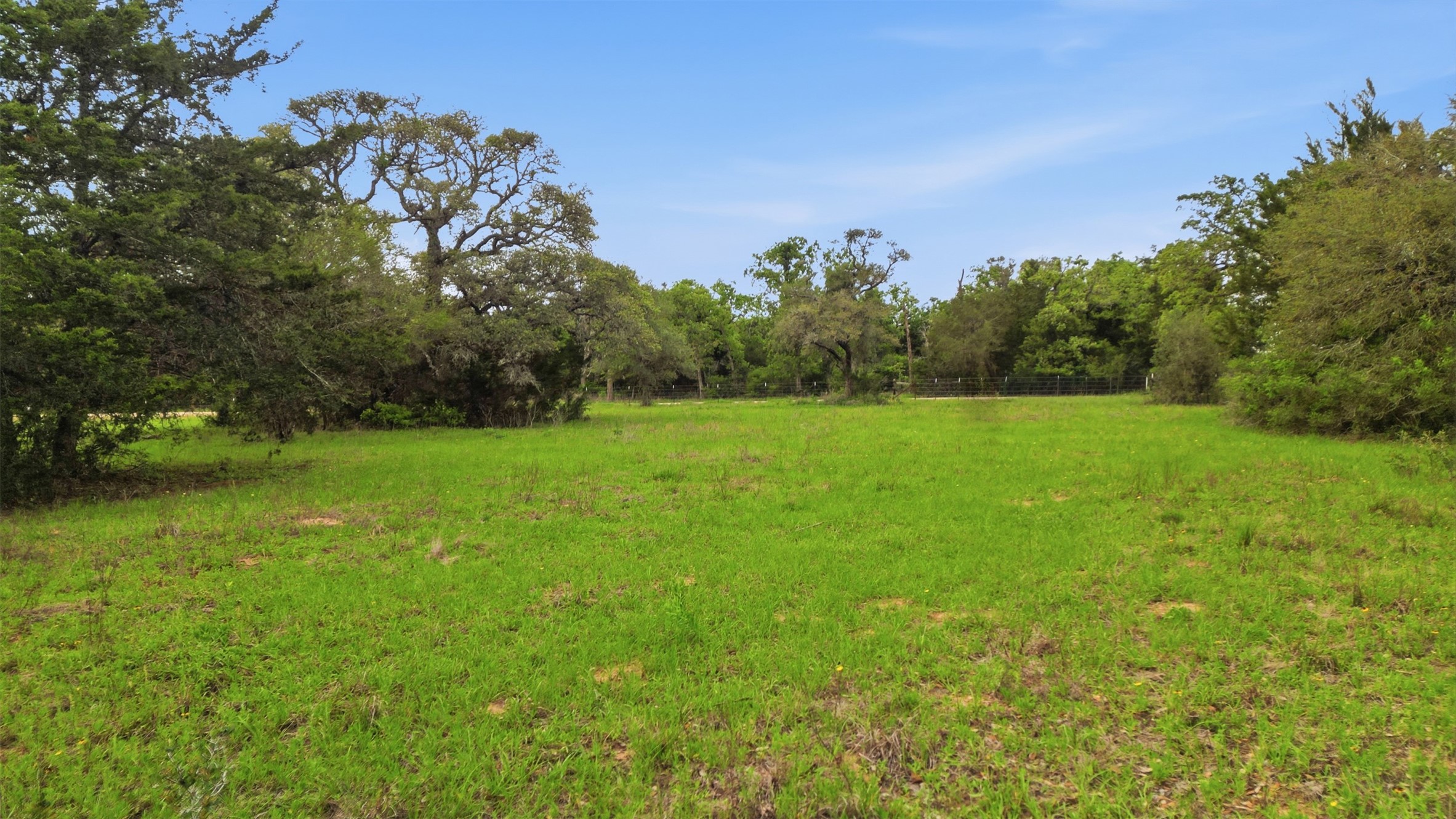 1165 Cr 213 Road Weimar, TX 78962 - Photo 17 of 50 a backyard of a house with lots of green space
