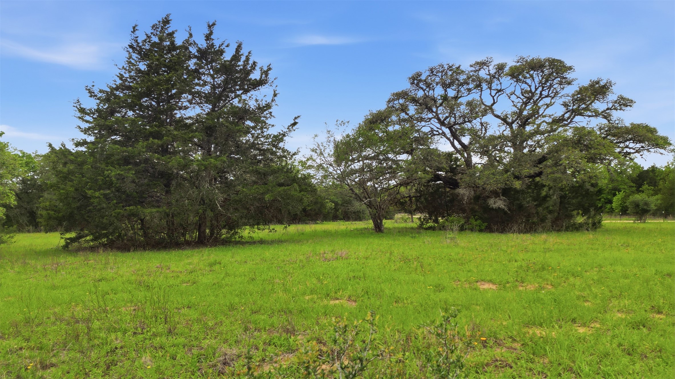 1165 Cr 213 Road Weimar, TX 78962 - Photo 18 of 50 a view of an outdoor space and a yard