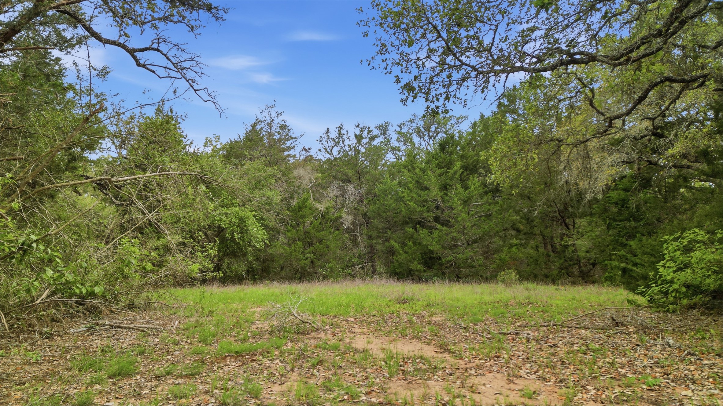 1165 Cr 213 Road Weimar, TX 78962 - Photo 19 of 50 a view of a yard with a tree