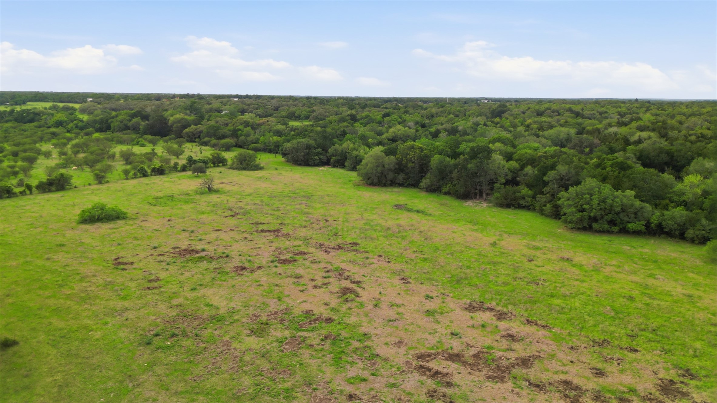1165 Cr 213 Road Weimar, TX 78962 - Photo 23 of 50 a view of a field with an ocean in the background