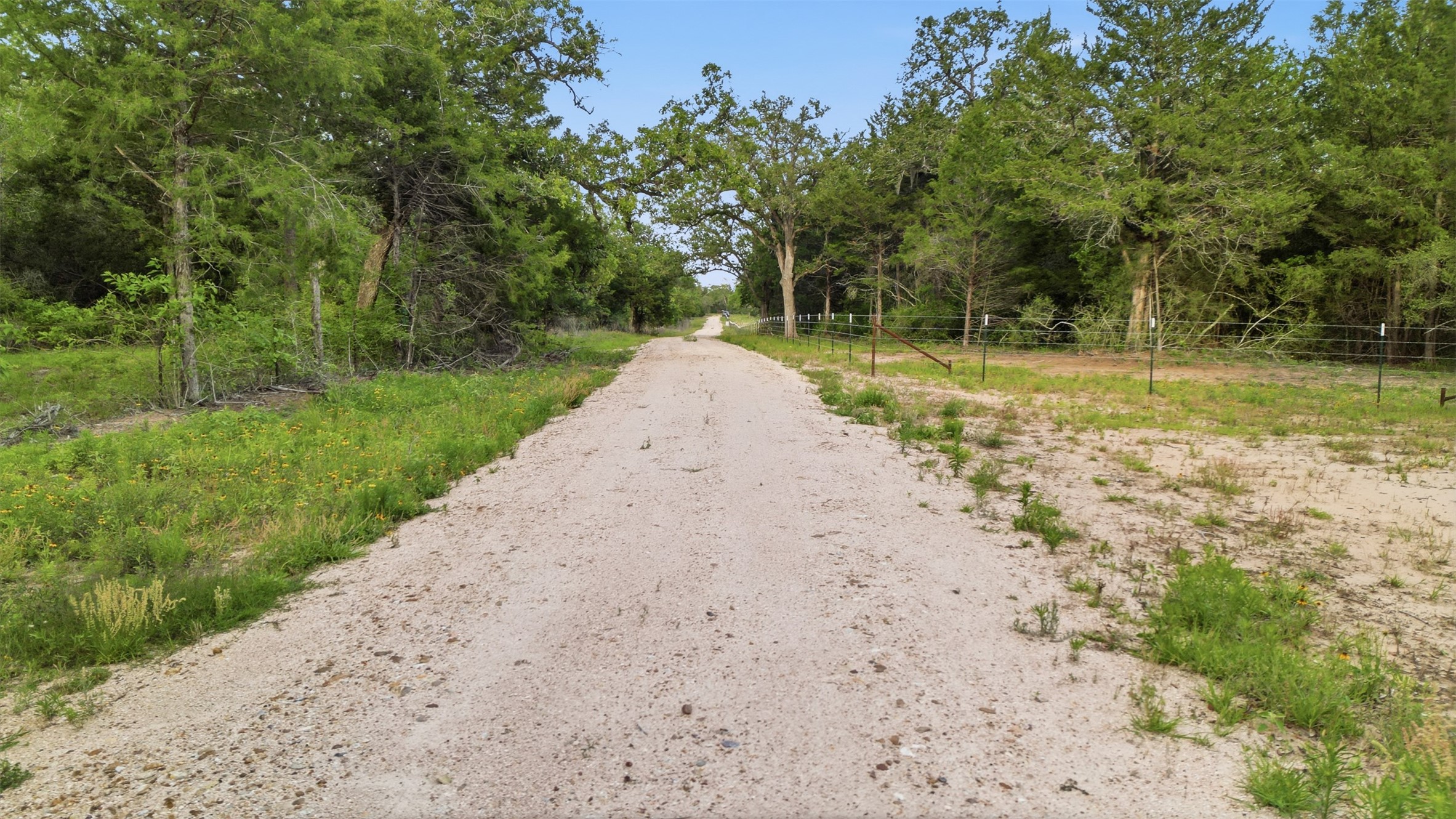 1165 Cr 213 Road Weimar, TX 78962 - Photo 26 of 50 a view of a yard with trees