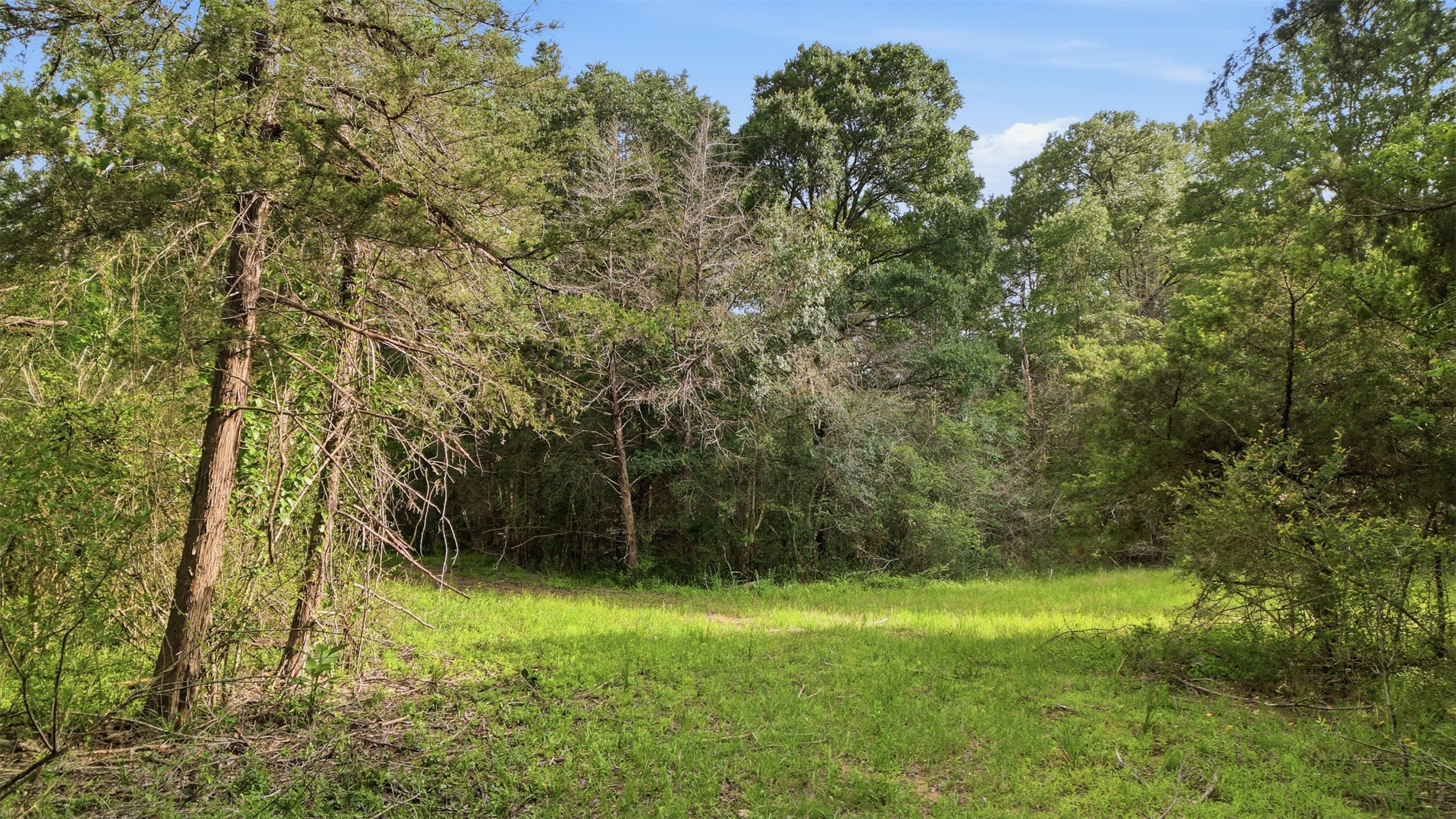 1165 Cr 213 Road Weimar, TX 78962 - Photo 27 of 50 a view of outdoor space and yard