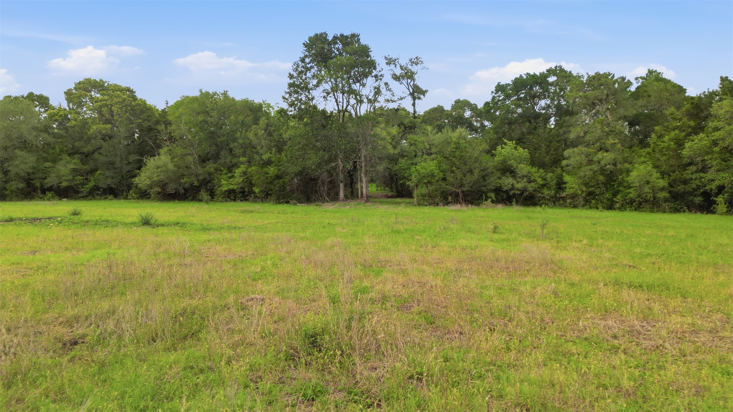 1165 Cr 213 Road Weimar, TX 78962 - Photo 29 of 50 a view of field with trees in the background