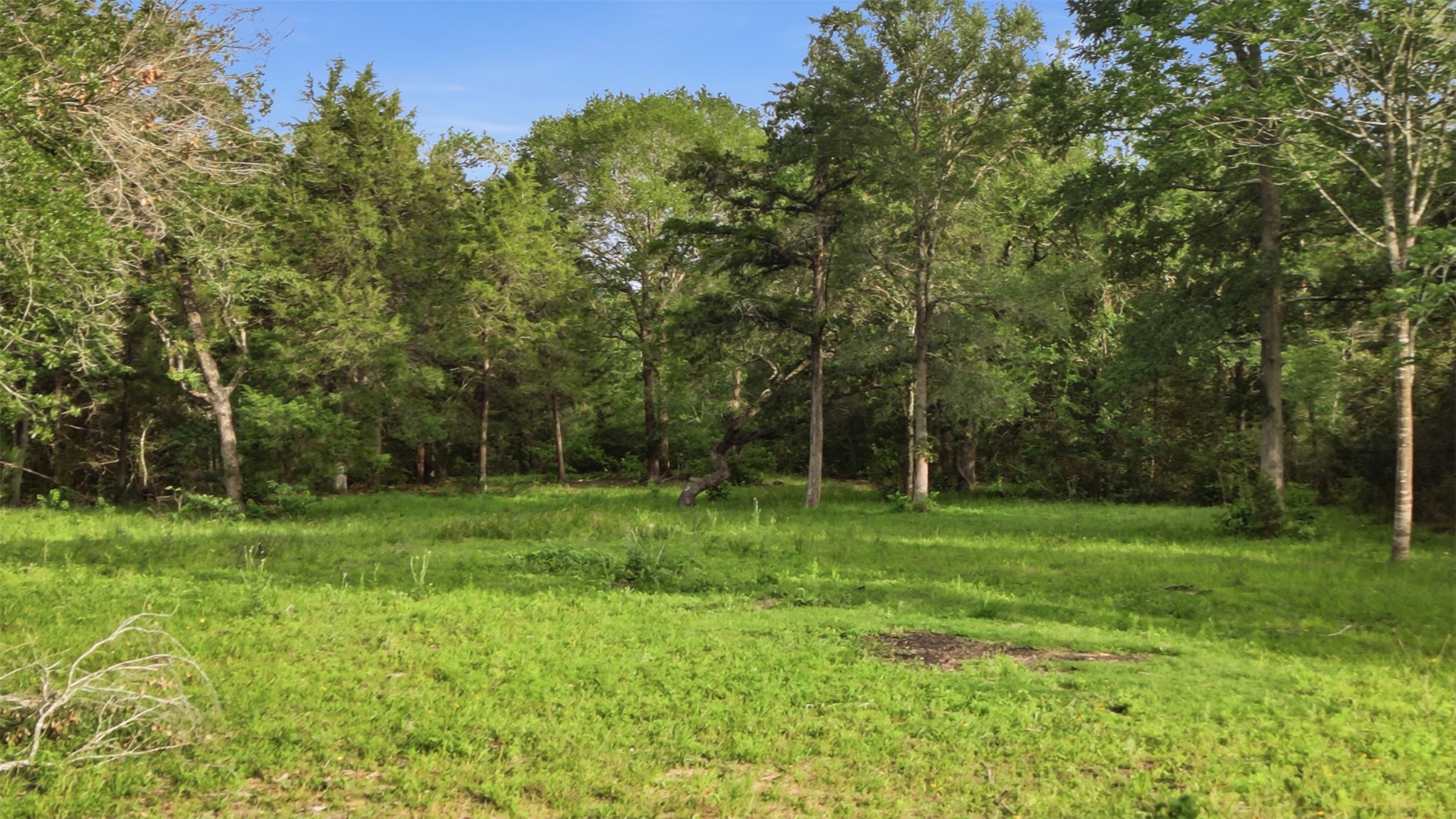 1165 Cr 213 Road Weimar, TX 78962 - Photo 30 of 50 a view of a park