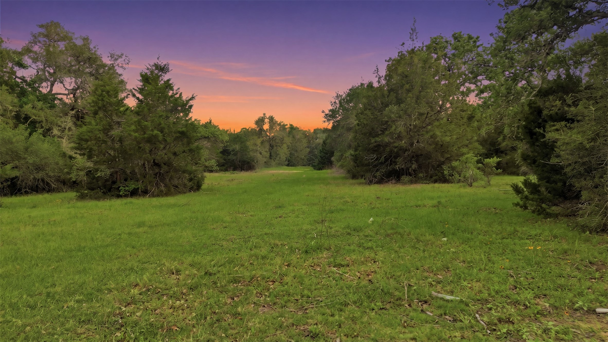 1165 Cr 213 Road Weimar, TX 78962 - Photo 3 of 50 a view of a grassy field with trees in the background