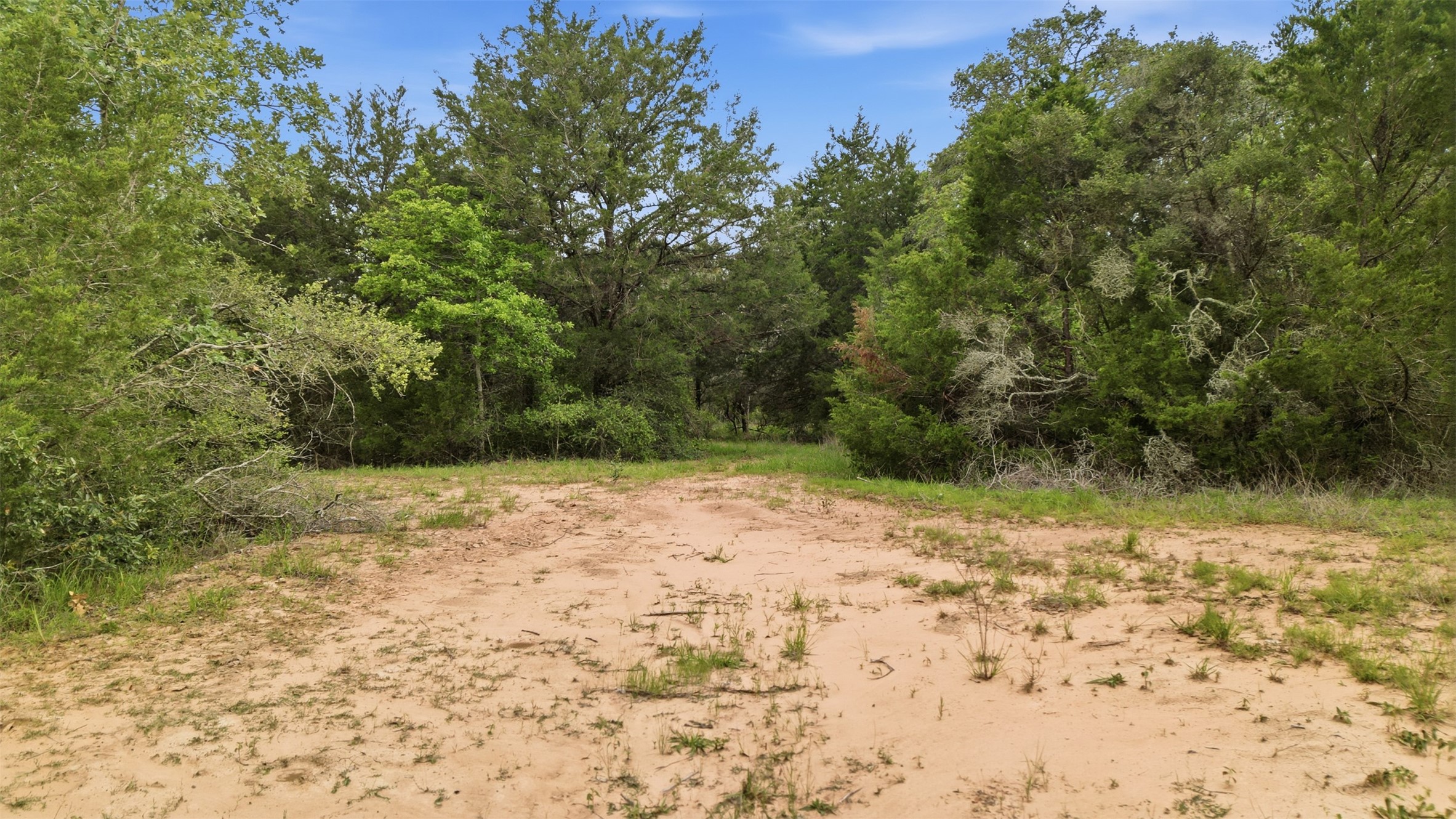 1165 Cr 213 Road Weimar, TX 78962 - Photo 31 of 50 a view of a yard with a tree