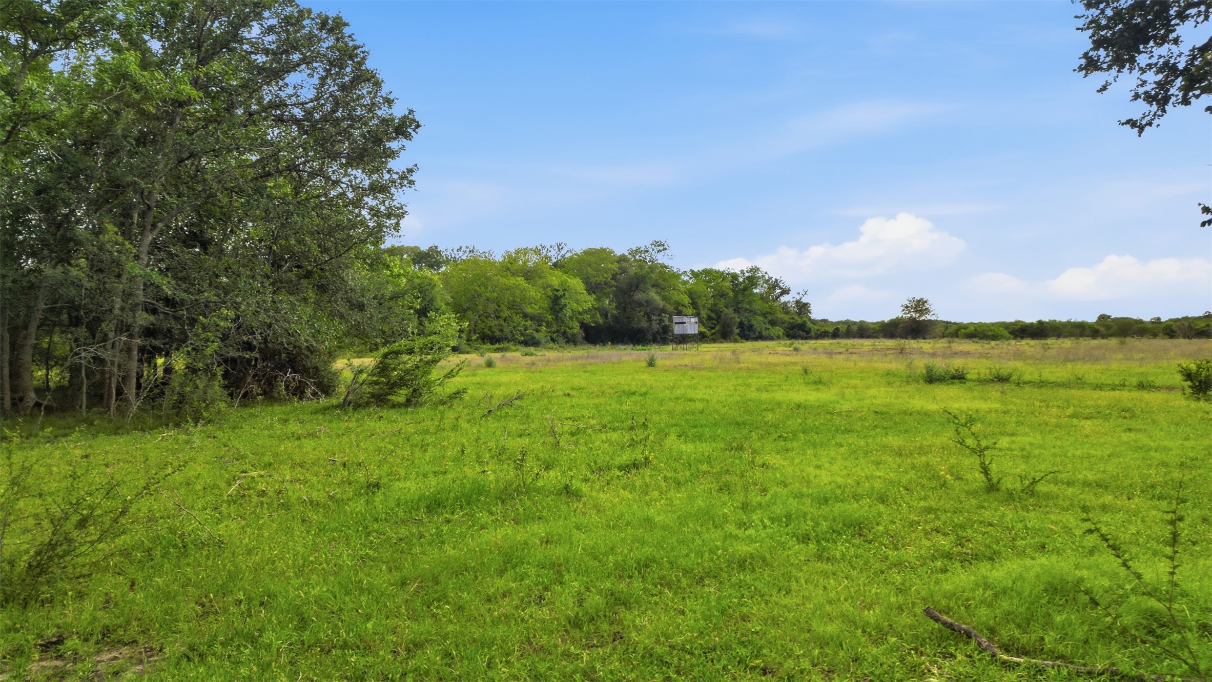 1165 Cr 213 Road Weimar, TX 78962 - Photo 34 of 50 a view of a lake with houses in the back