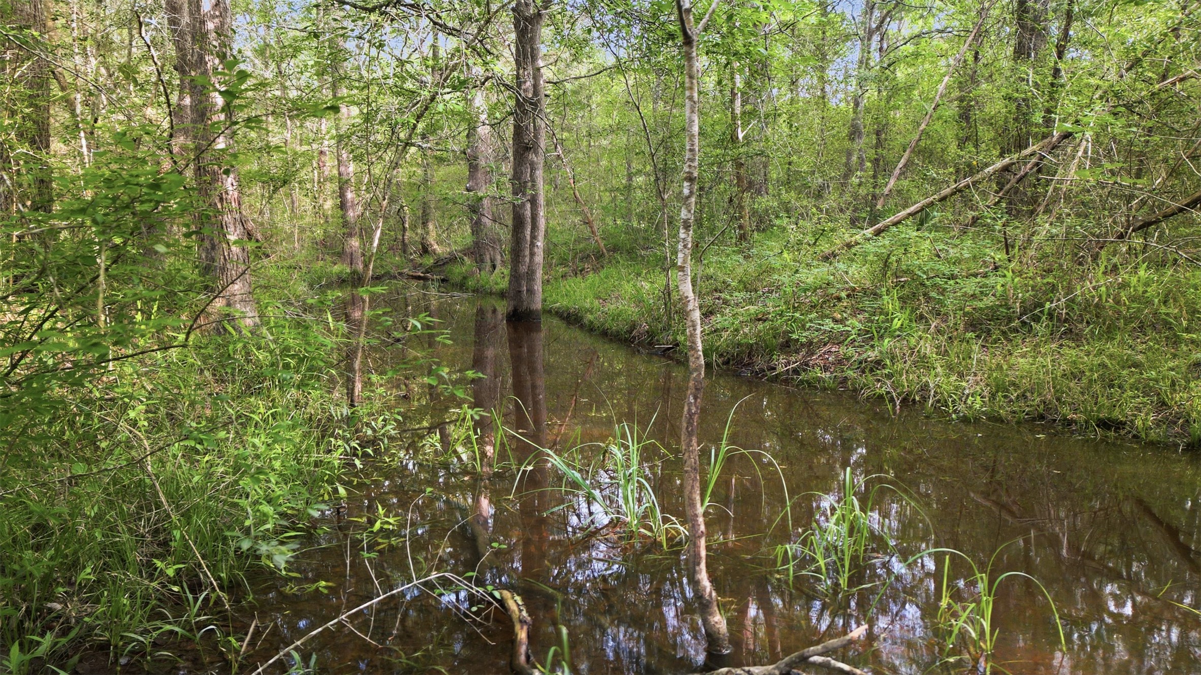 1165 Cr 213 Road Weimar, TX 78962 - Photo 37 of 50 a view of a lake from a forest