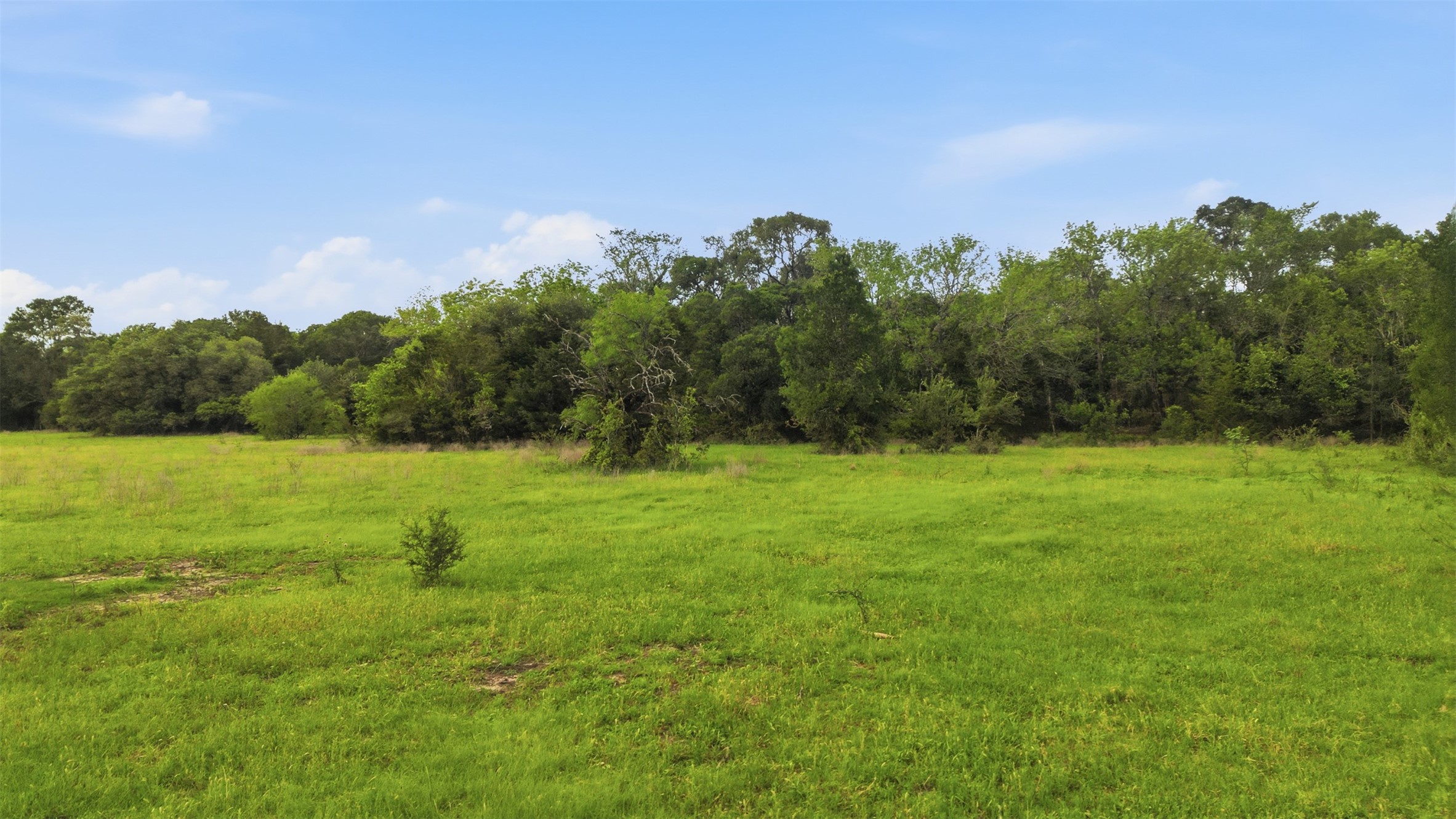 1165 Cr 213 Road Weimar, TX 78962 - Photo 38 of 50 a backyard of a house with lots of green space