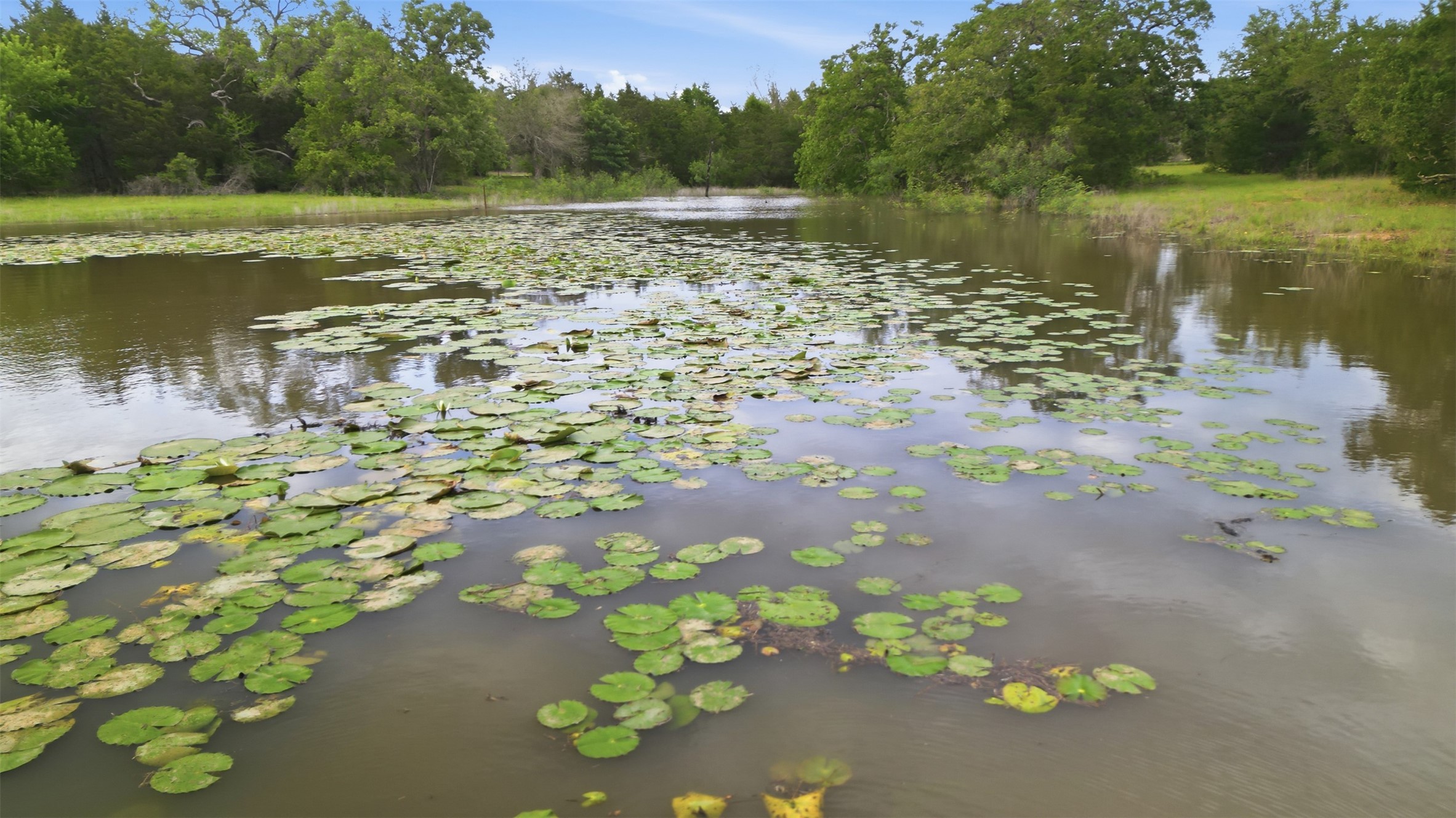 1165 Cr 213 Road Weimar, TX 78962 - Photo 41 of 50 a view of a lake with a yard