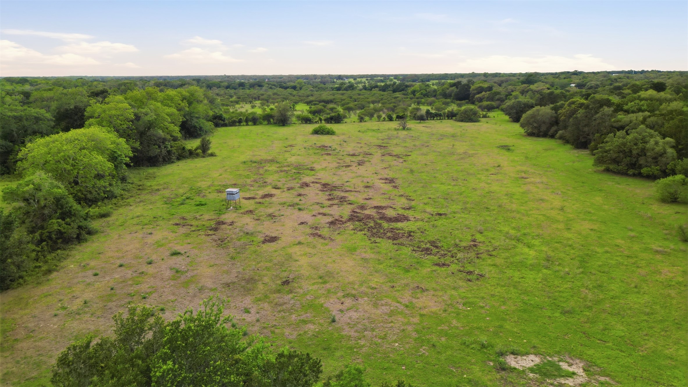 1165 Cr 213 Road Weimar, TX 78962 - Photo 43 of 50 a view of a big yard with lots of green space