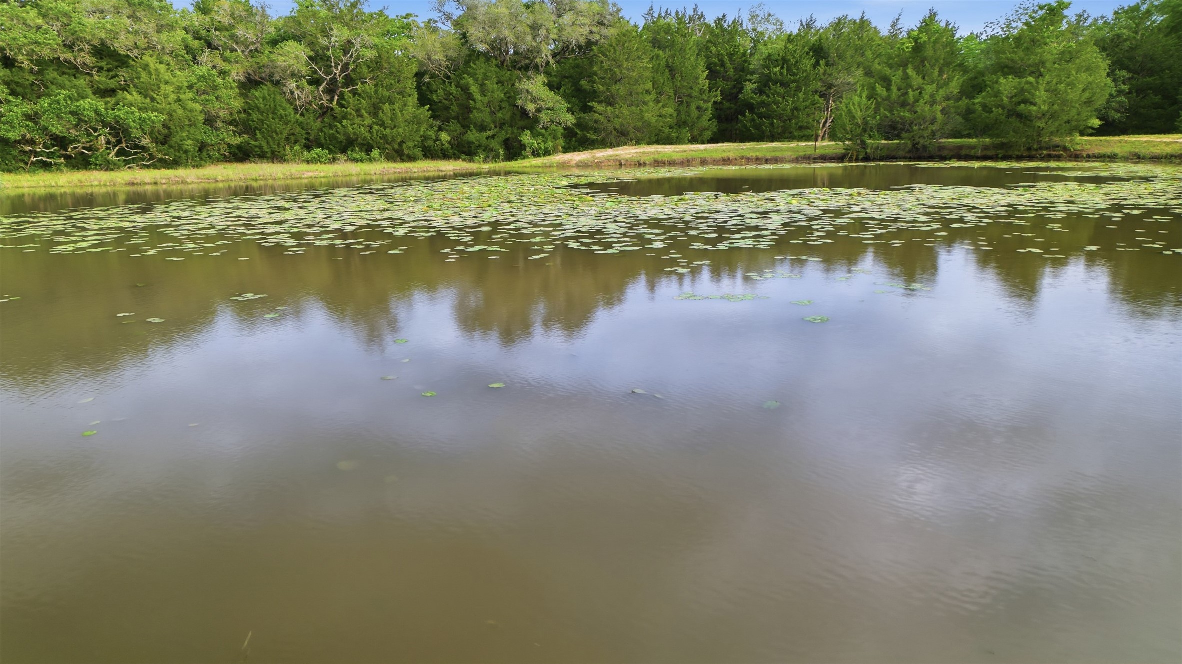 1165 Cr 213 Road Weimar, TX 78962 - Photo 46 of 50 a view of a lake with a yard and trees