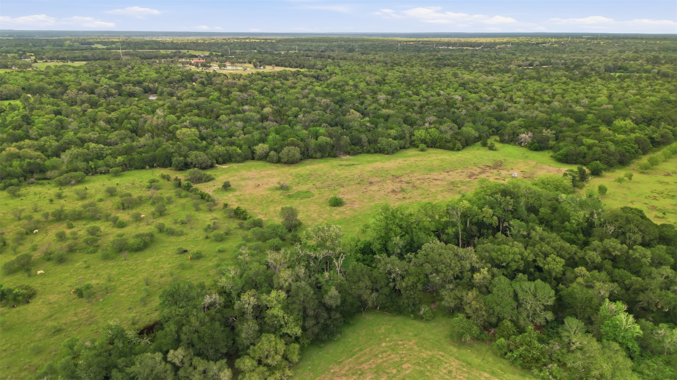 1165 Cr 213 Road Weimar, TX 78962 - Photo 48 of 50 a view of a field with an ocean view