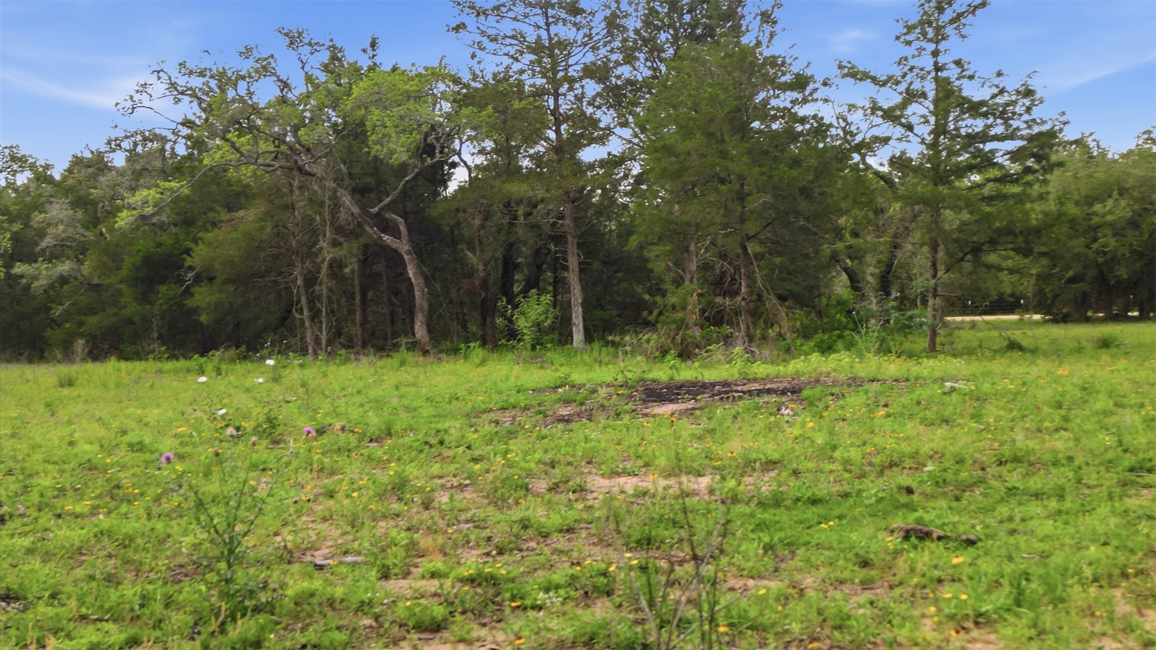 1165 Cr 213 Road Weimar, TX 78962 - Photo 50 of 50 a view of outdoor space with green field and trees