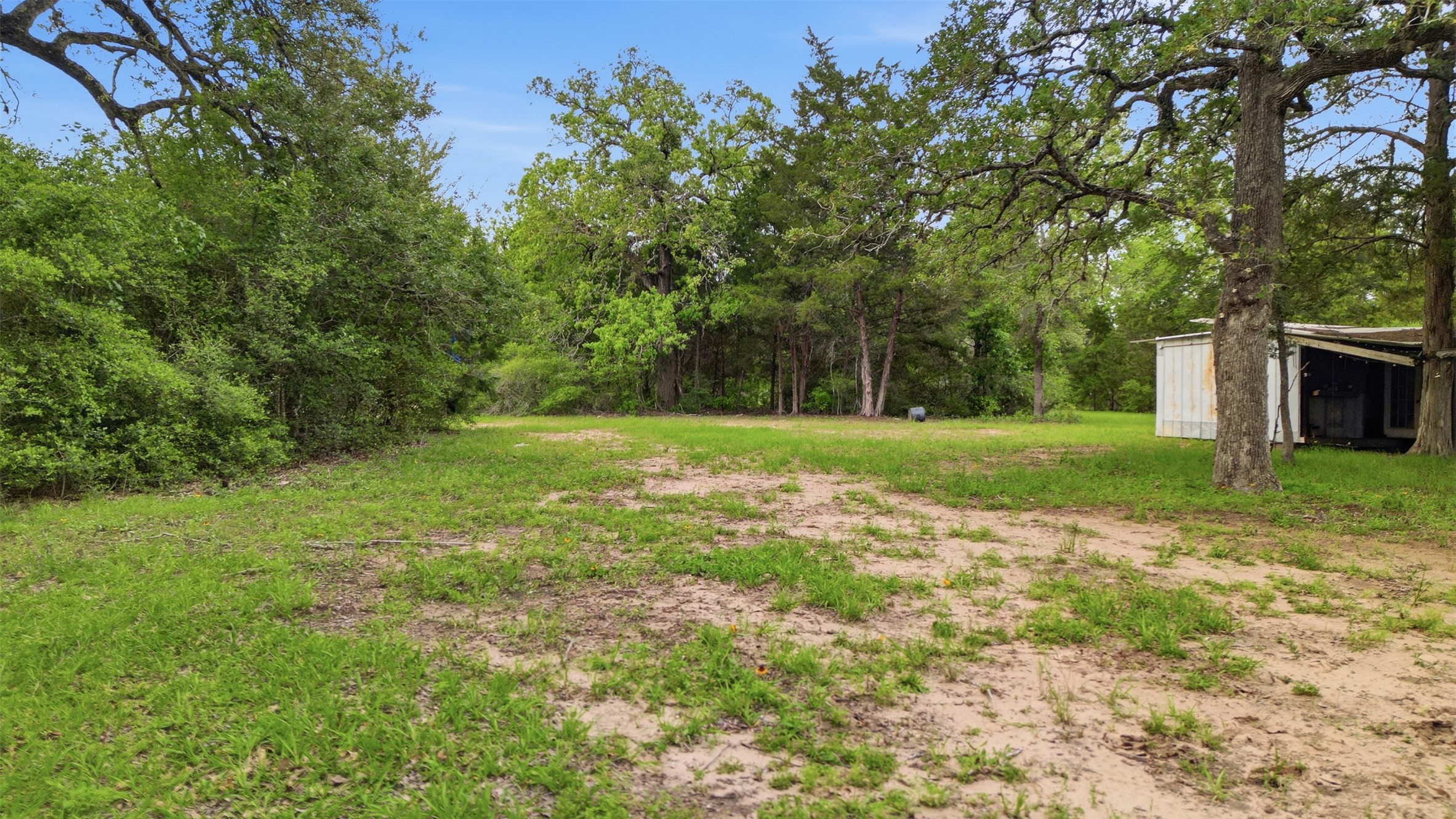 1165 Cr 213 Road Weimar, TX 78962 - Photo 6 of 50 a view of a field with a tree