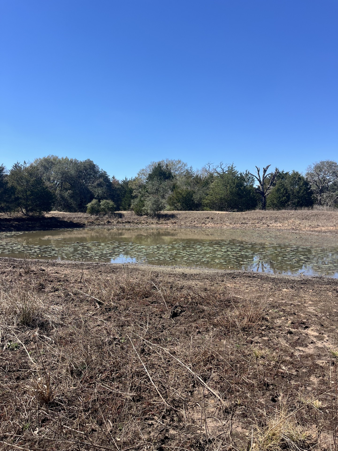 1165 Cr 213 Road Weimar, TX 78962 - Photo 7 of 9 a view of outdoor space and mountain view