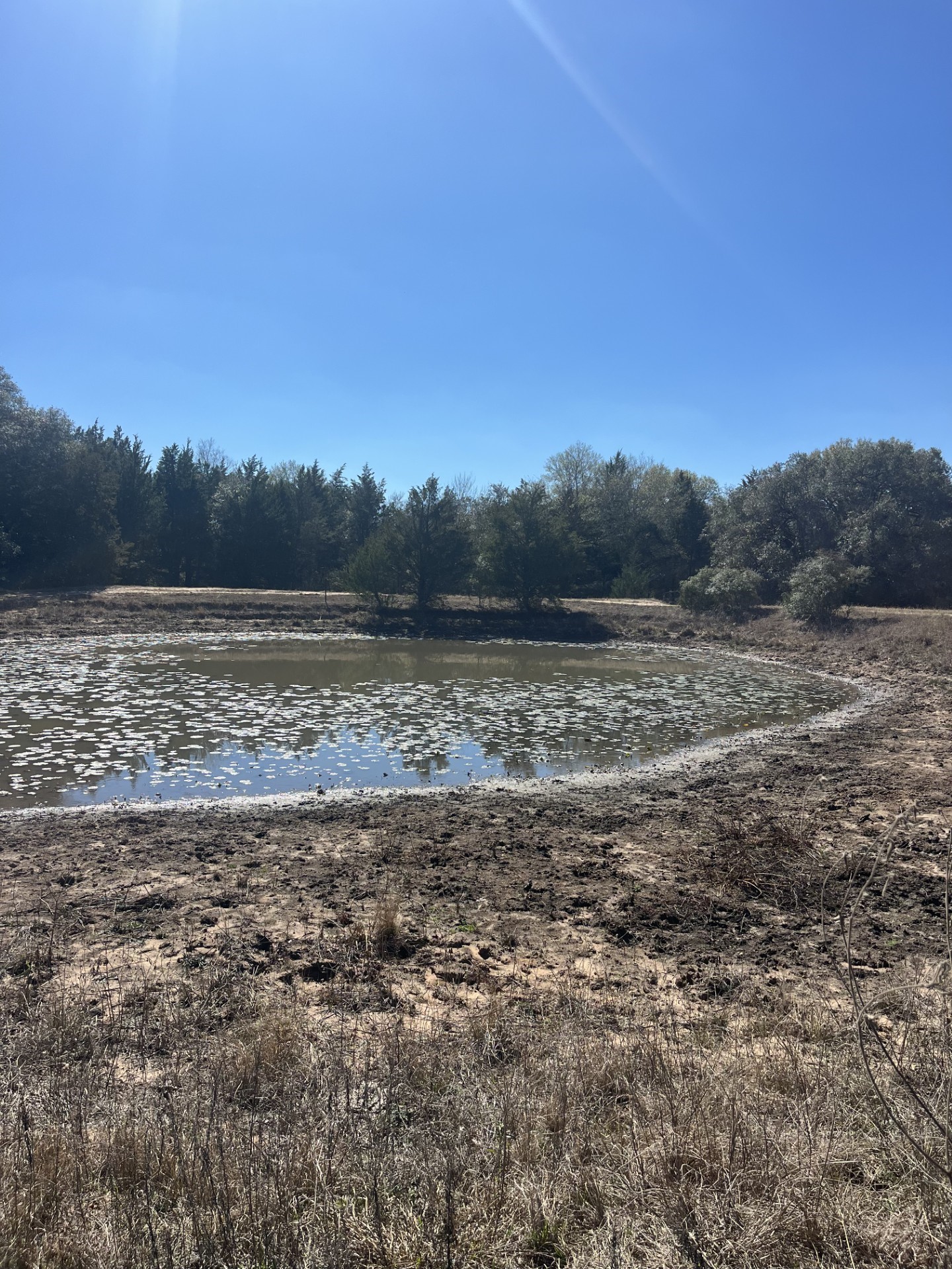 1165 Cr 213 Road Weimar, TX 78962 - Photo 8 of 9 a view of a lake view and mountain view
