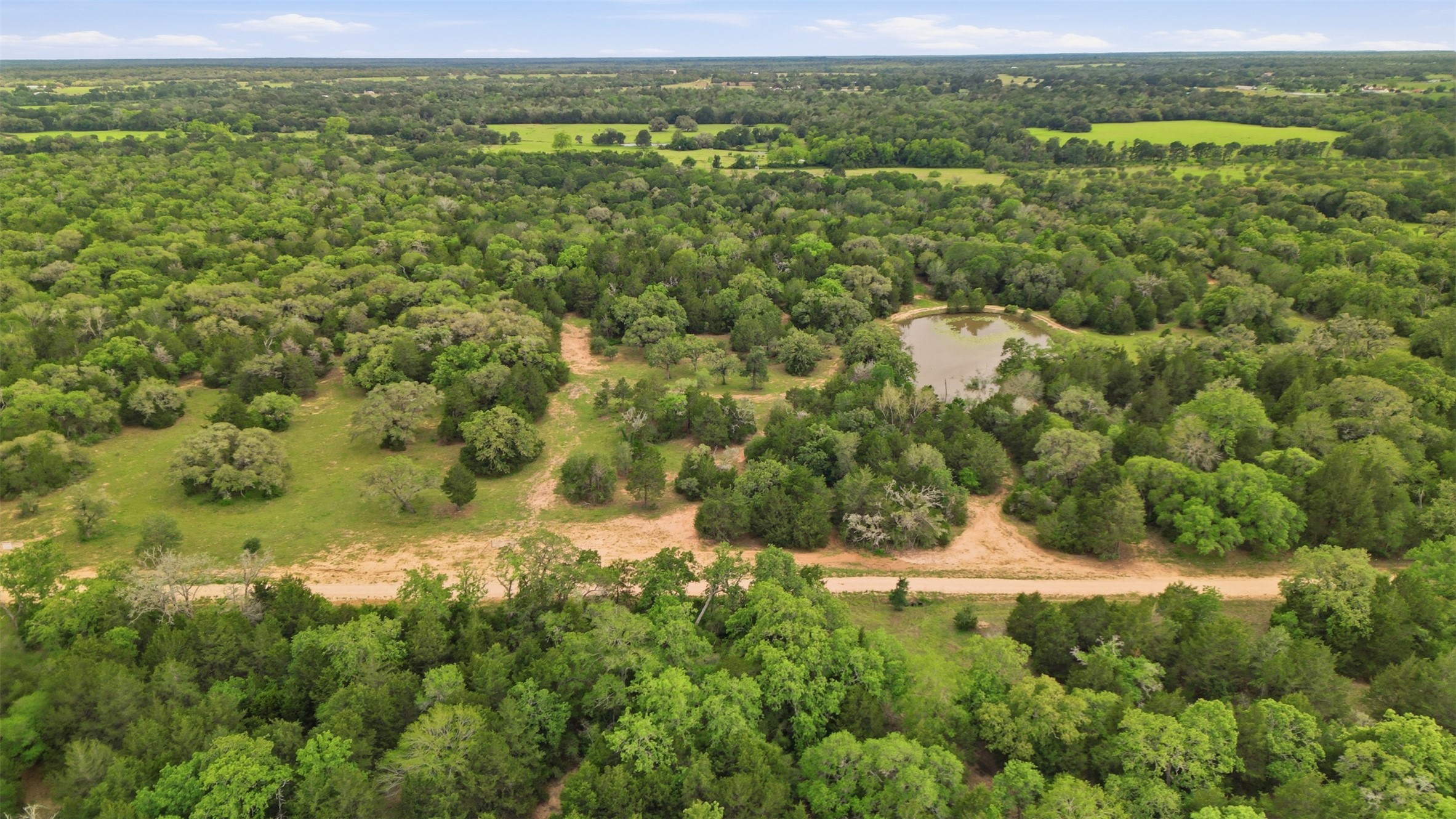 1165 Cr 213 Road Weimar, TX 78962 - Photo 10 of 50 a view of a green yard with an trees