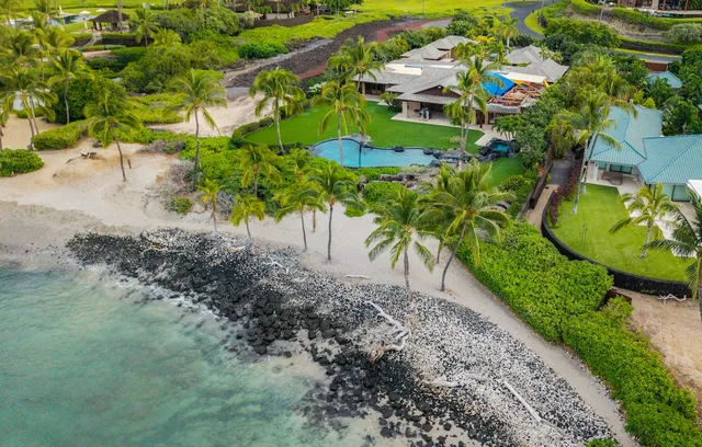 a view of a garden with a tree