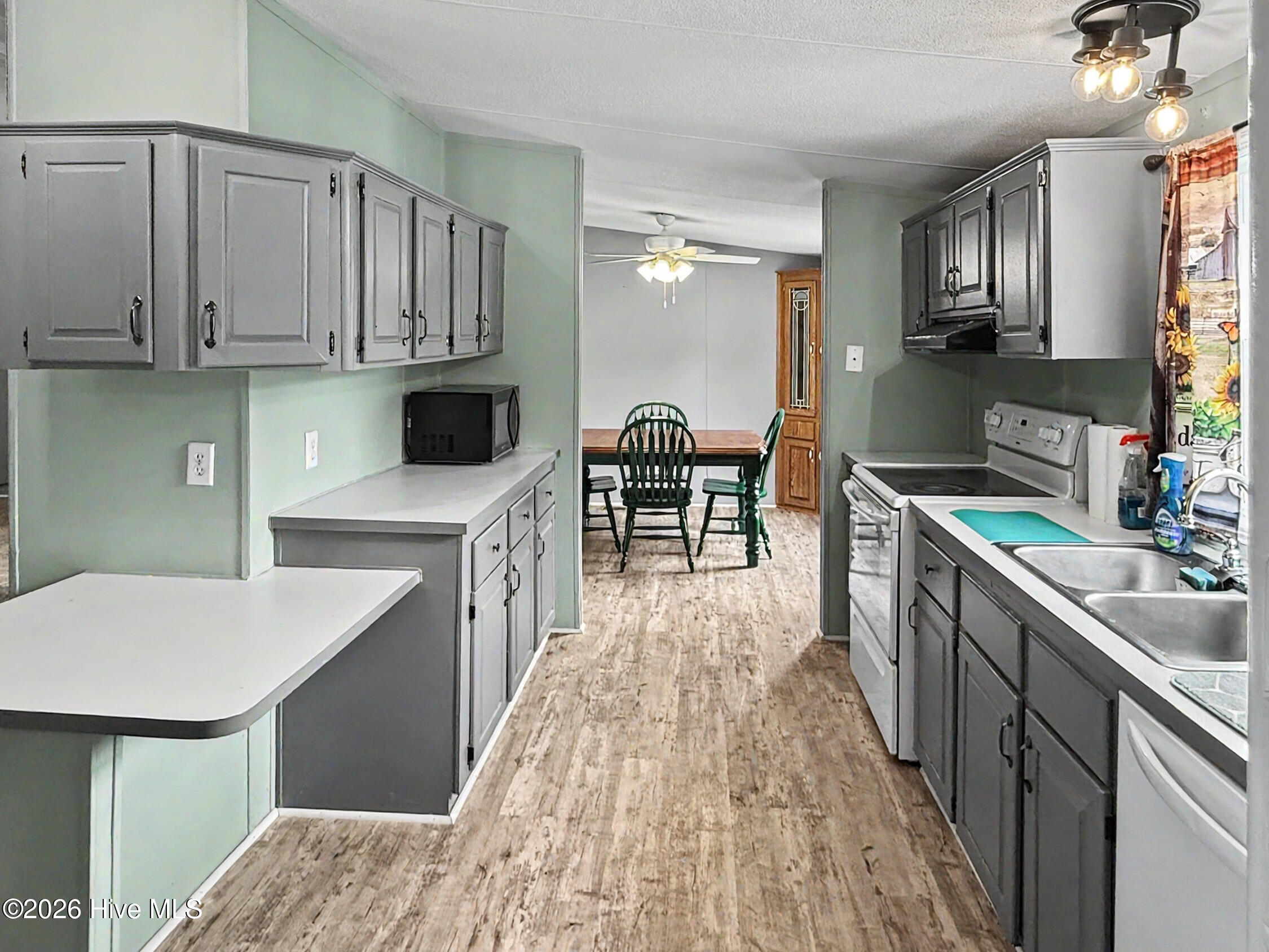 313 Wright Road Vass, NC 28394 - Photo 6 of 23 Kitchen-2