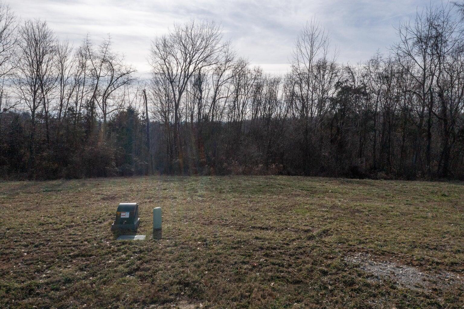 580 Claiborne Drive Dry Ridge, KY 41035 - Photo 4 of 9