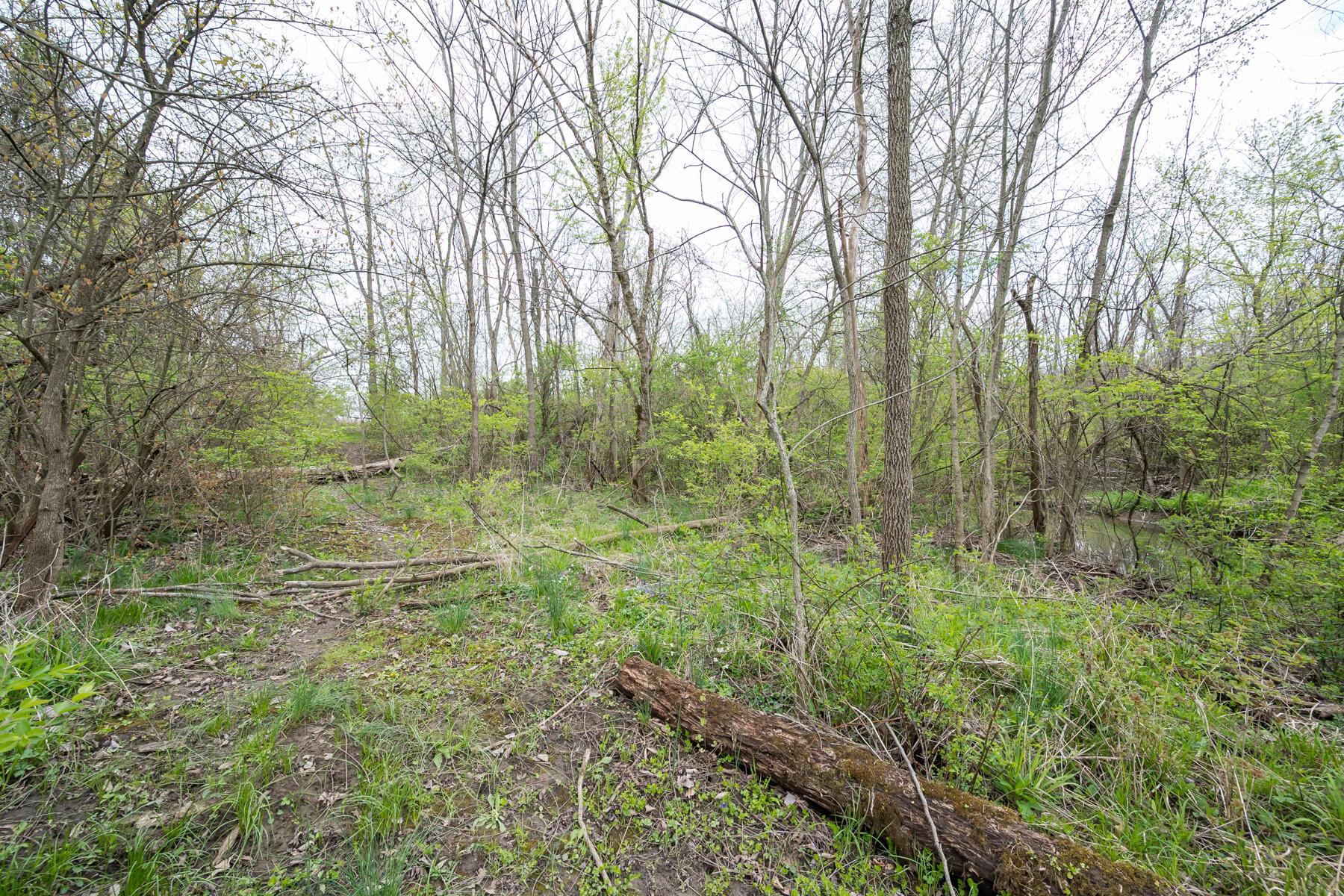 6946 Home Road Delaware, OH 43015 - Photo 19 of 44 Gallery Image 19