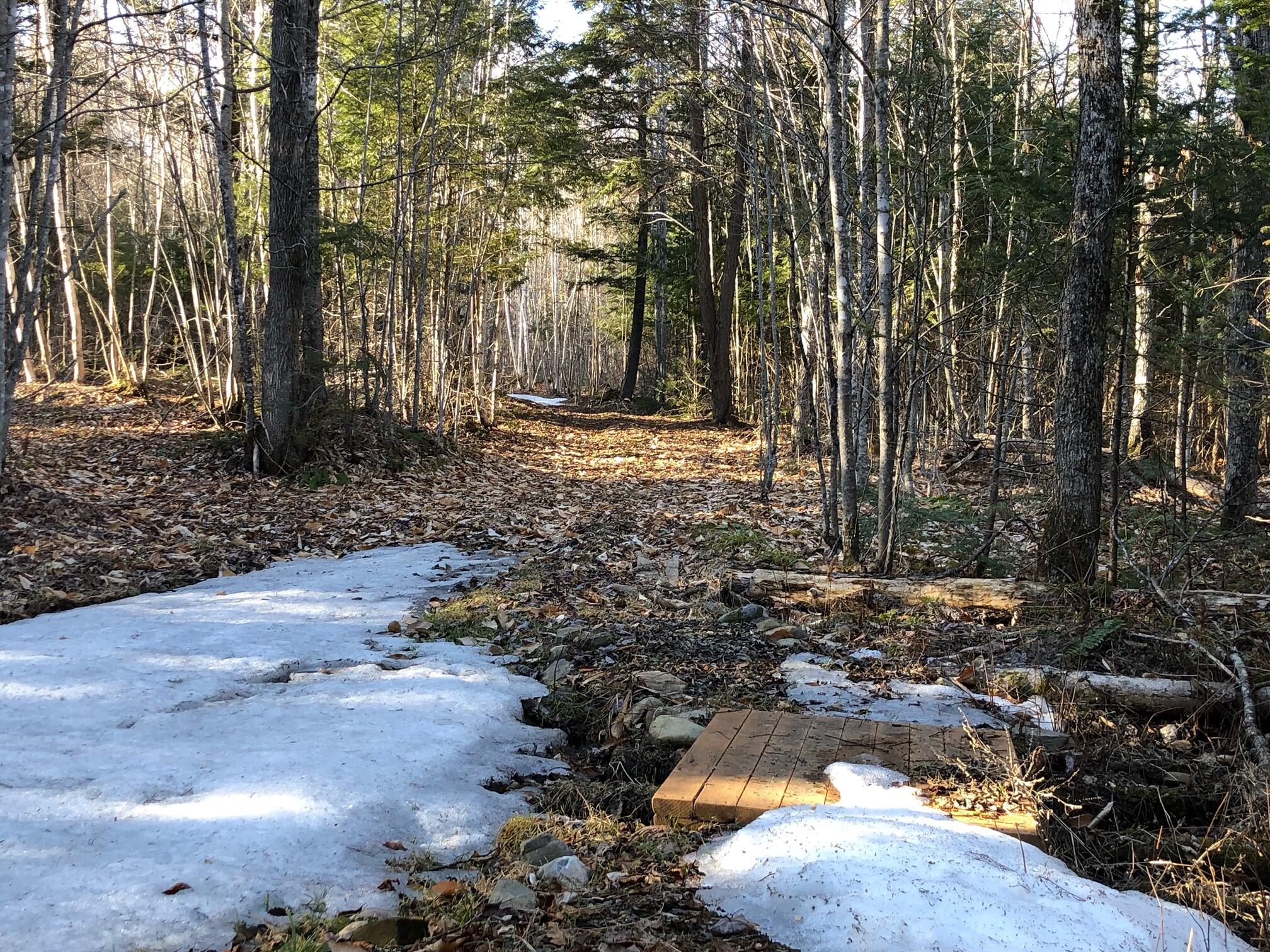 421 Rutland Road Newport, ME 04953 - Photo 74 of 76 Trail 7