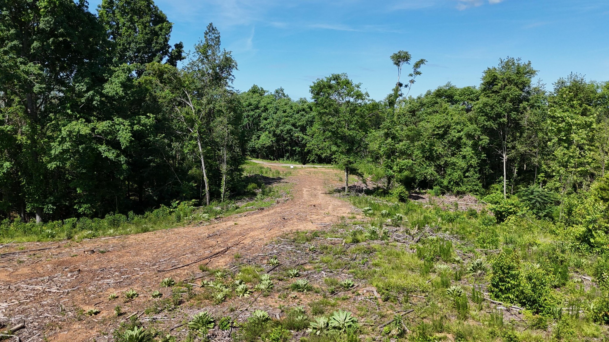 4 Lamontville Road Calhoun, TN 37309 - Photo 10 of 11 Gallery Image 10