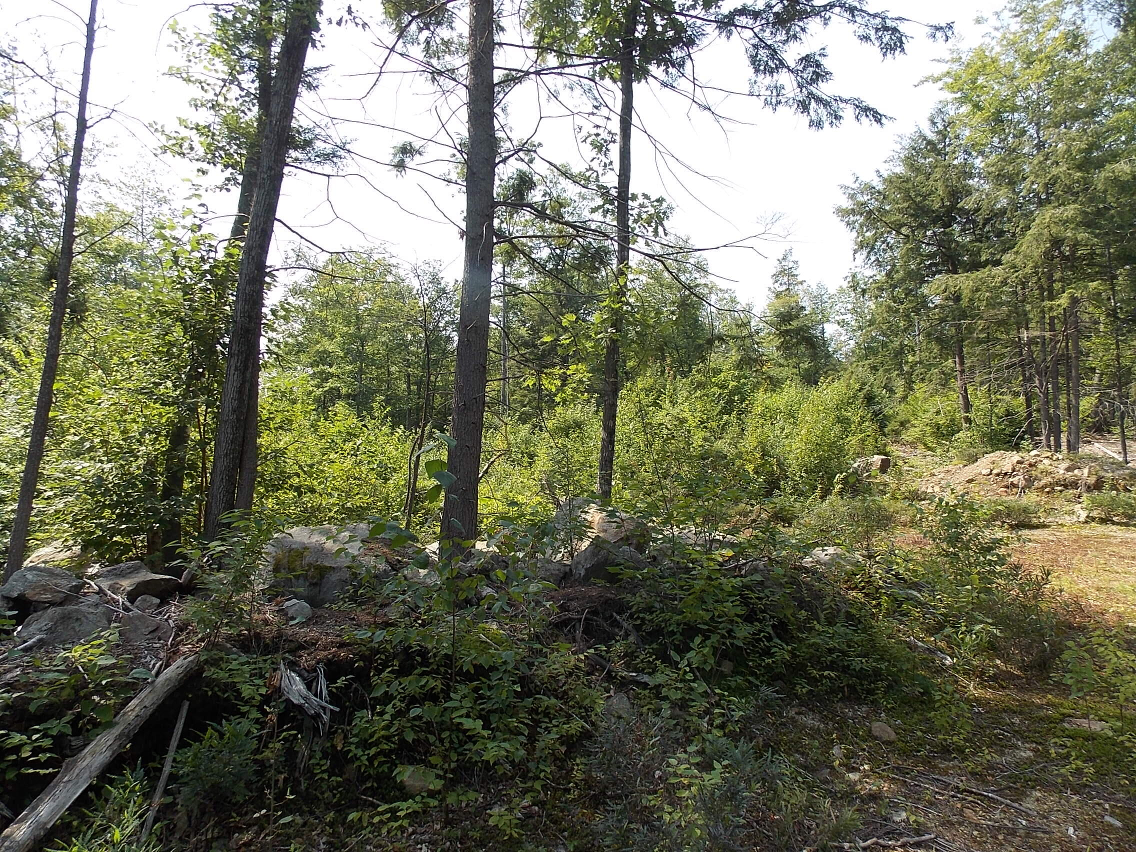 0 Walnut Brook Road Sanford, ME 04073 - Photo 4 of 19 DSCN9517