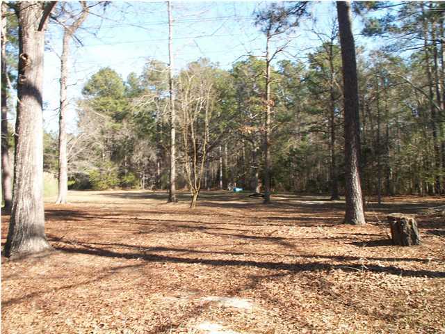 1690 French Santee Road Jamestown, SC 29453 - Photo 3 of 3 Additional Photo