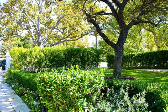 a view of a building with a potted plant and a window