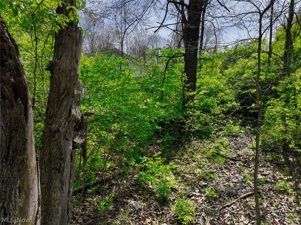 0 Terrace Ridge Circle Howard, OH 43028 - Photo 5 of 23 View of nature