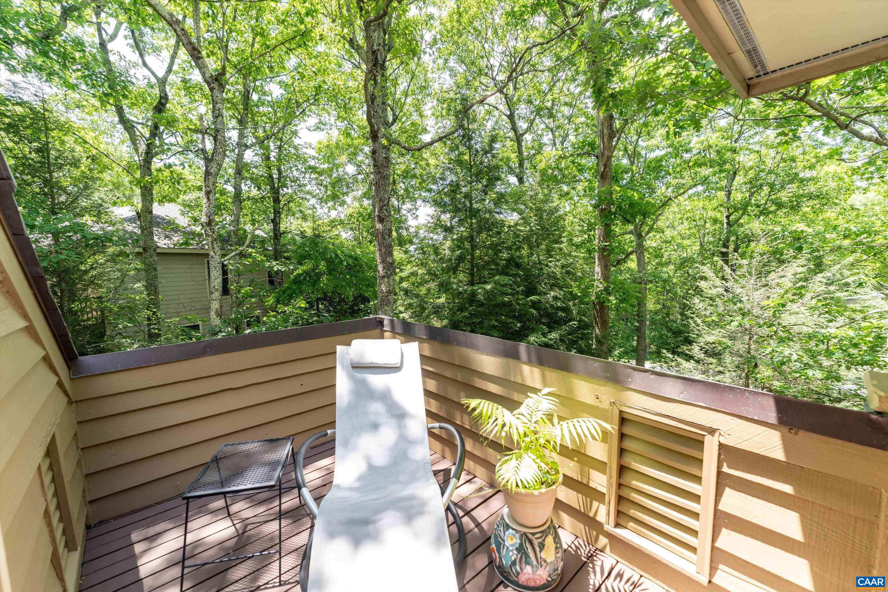 377 Devils Knob Loop Roseland, VA 22967 - Photo 63 of 75