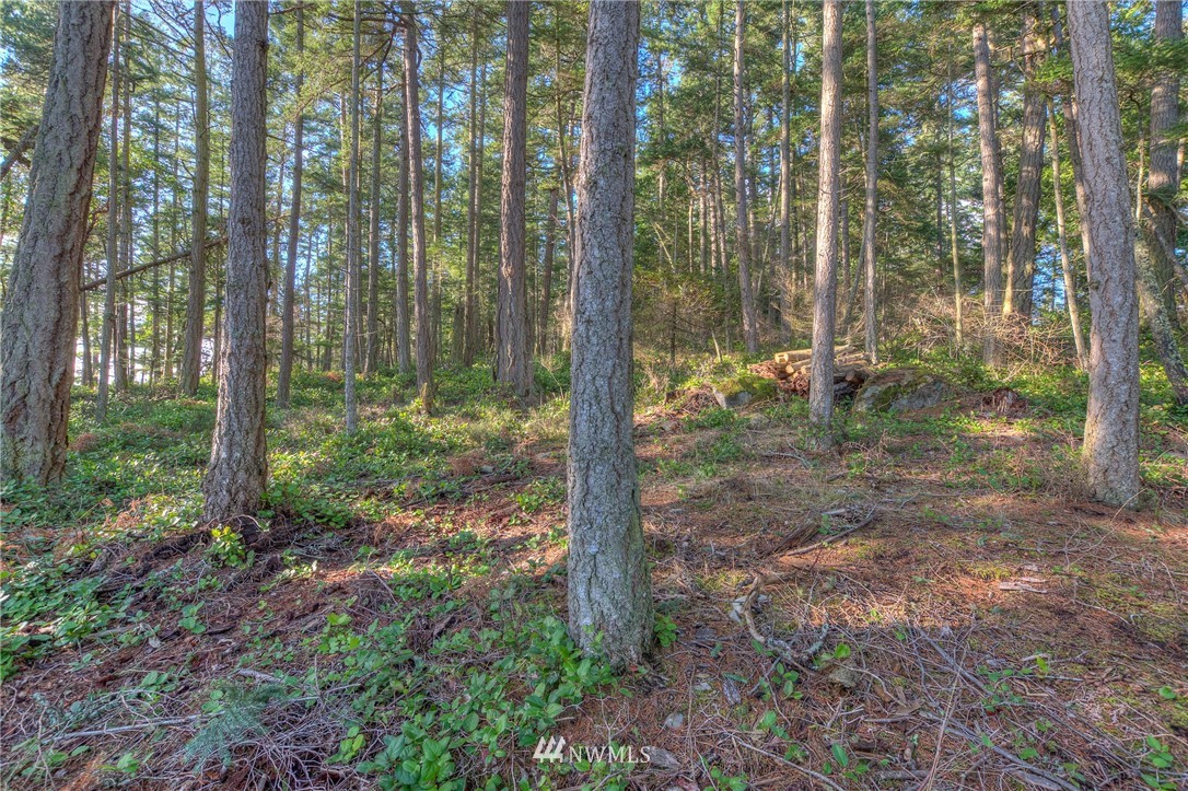 880 Deer Point Road Orcas Island, WA 98279 - Photo 13 of 24 Gallery Image 13