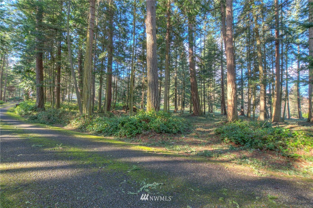 880 Deer Point Road Orcas Island, WA 98279 - Photo 14 of 24 Gallery Image 14