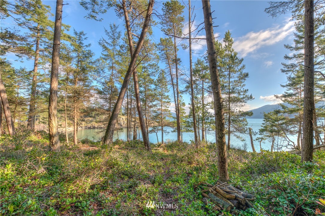 880 Deer Point Road Orcas Island, WA 98279 - Photo 15 of 24 Gallery Image 15