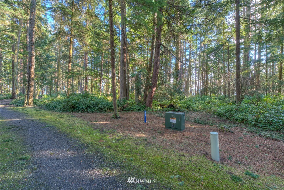 880 Deer Point Road Orcas Island, WA 98279 - Photo 16 of 24 Gallery Image 16