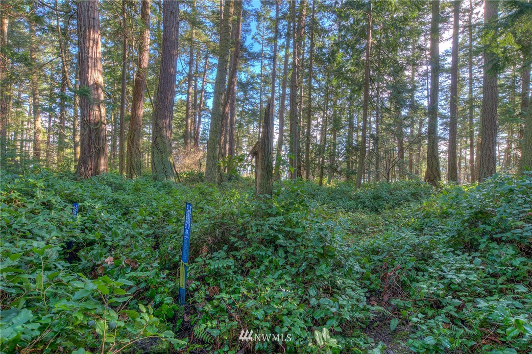 880 Deer Point Road Orcas Island, WA 98279 - Photo 17 of 24 Gallery Image 17
