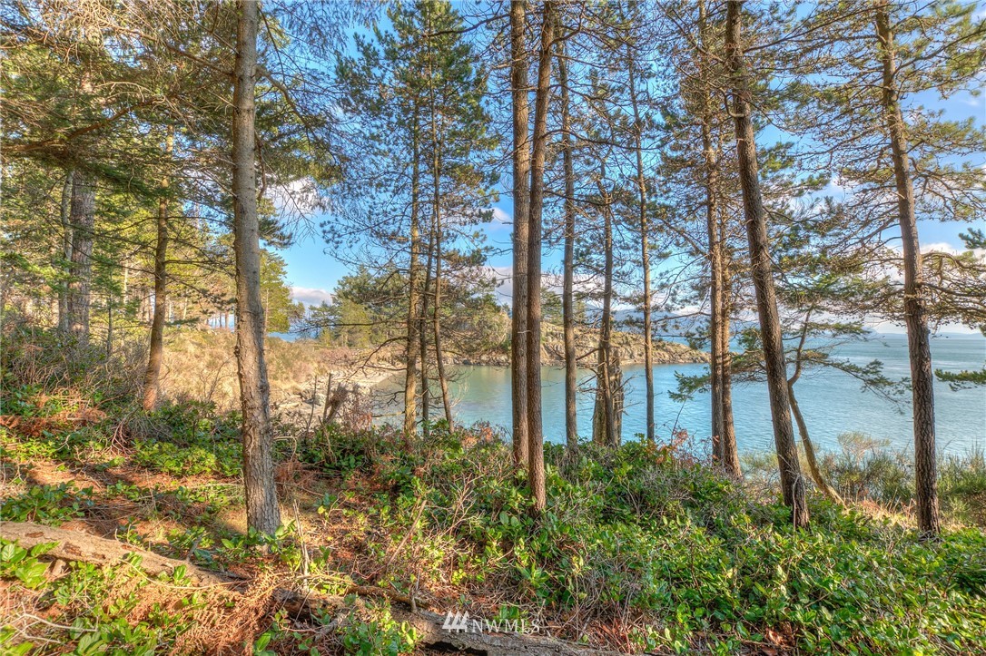 880 Deer Point Road Orcas Island, WA 98279 - Photo 19 of 24 Gallery Image 19