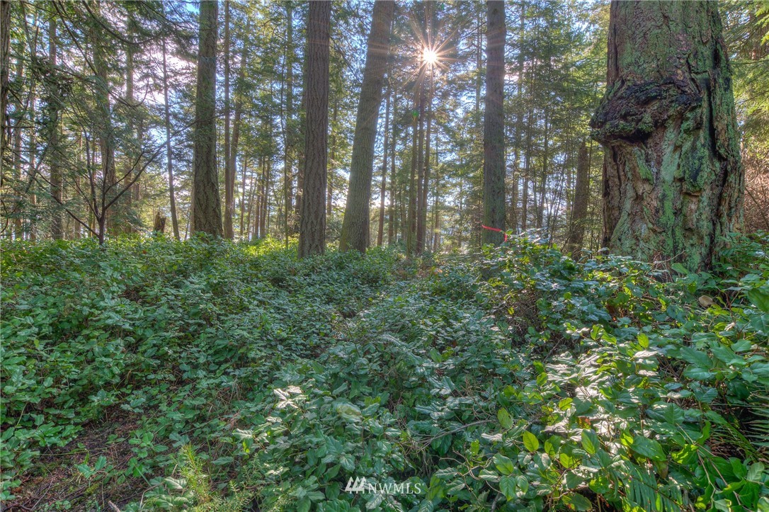 880 Deer Point Road Orcas Island, WA 98279 - Photo 20 of 24 Gallery Image 20