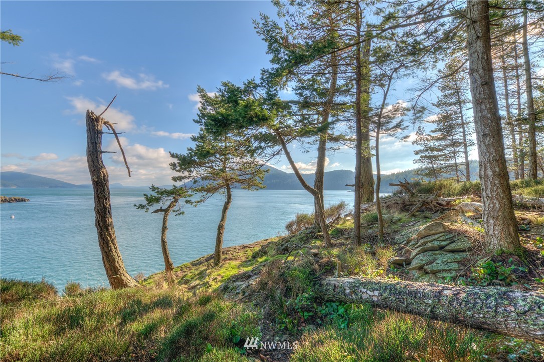 880 Deer Point Road Orcas Island, WA 98279 - Photo 21 of 24 Gallery Image 21