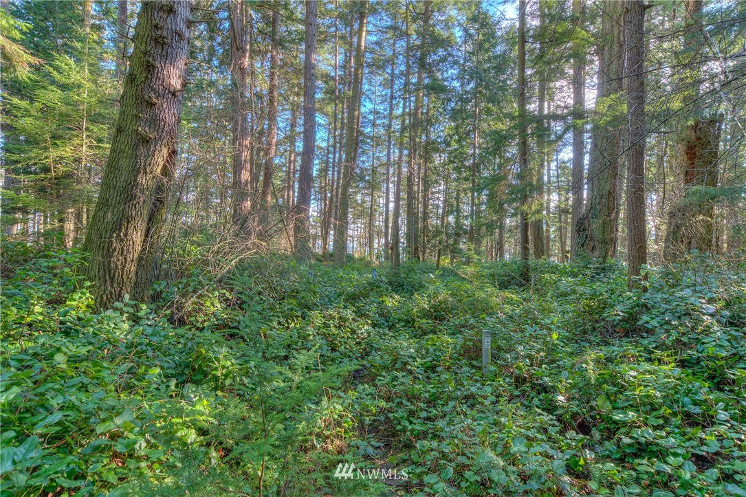 880 Deer Point Road Orcas Island, WA 98279 - Photo 8 of 24 Gallery Image 8