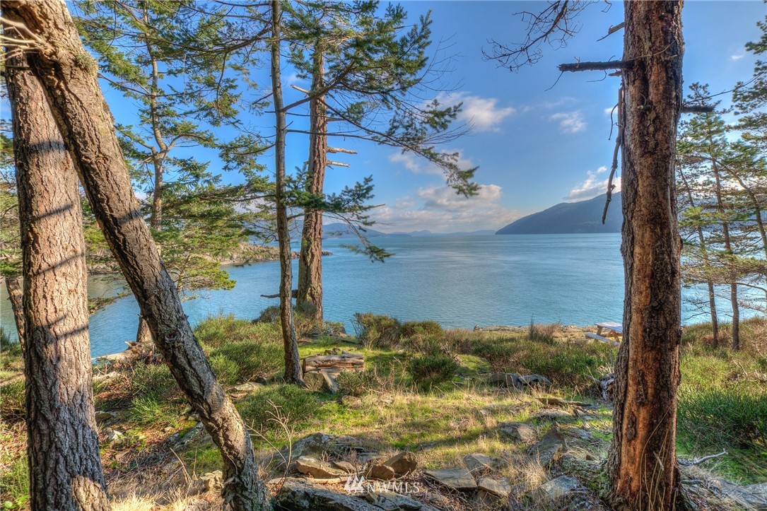 880 Deer Point Road Orcas Island, WA 98279 - Photo 9 of 24 Gallery Image 9