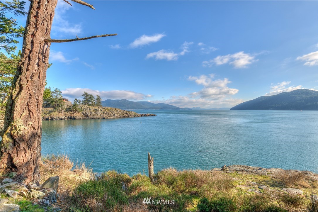 880 Deer Point Road Orcas Island, WA 98279 - Photo 10 of 24 Gallery Image 10