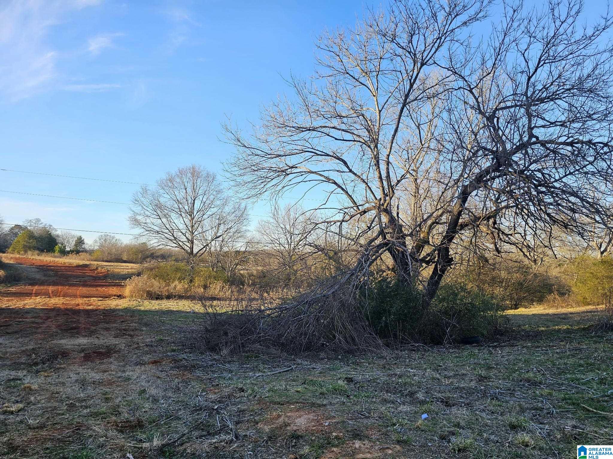 0 Peaceful Valley Road Eastaboga, AL 36260 - Photo 4 of 15