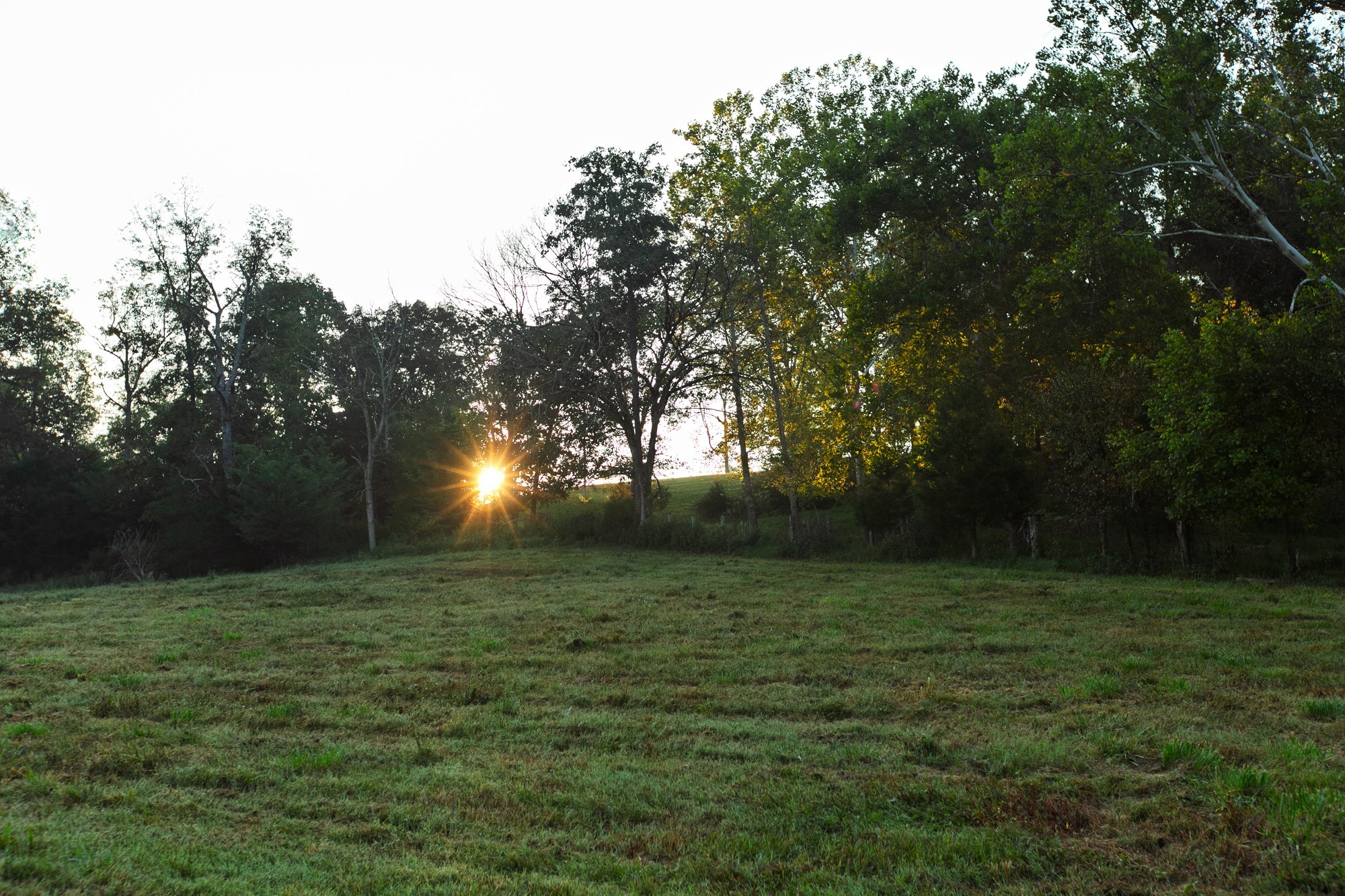 110 Wade Reed Road White Bluff, TN 37187 - Photo 92 of 94 Gallery Image 92