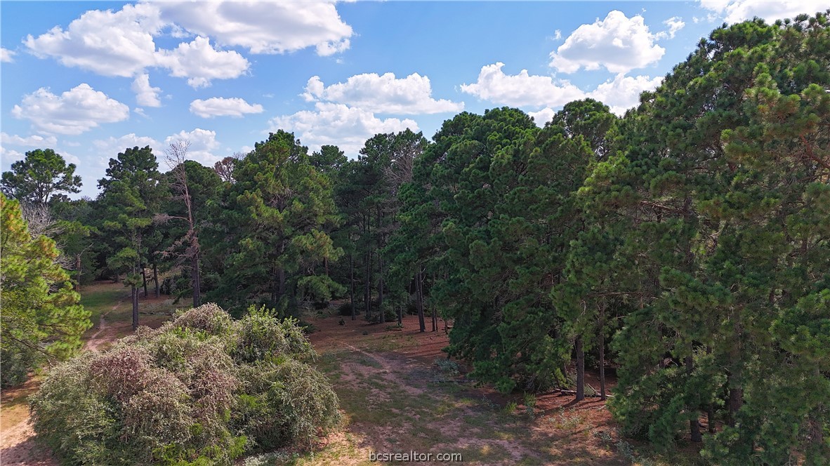 8 & 13) Road Paige, TX 78659 - Photo 15 of 22 Gallery Image 15